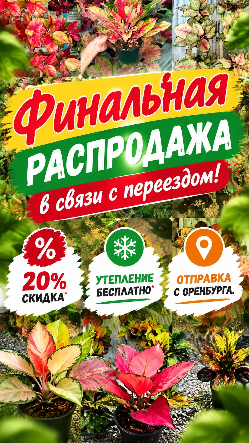 https://vk.ru/clip-218155777_456239219?c=2