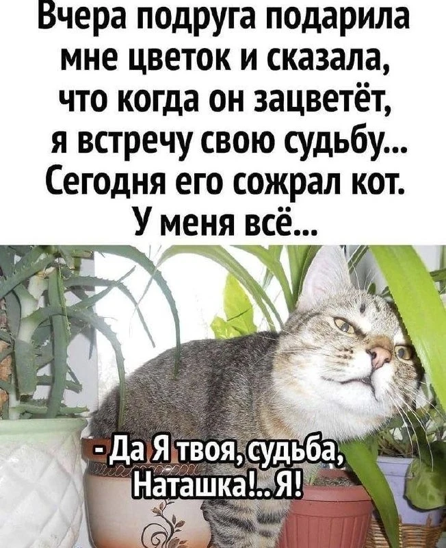 Понравился контент? Подпишись на наш второй канал MAXимально вкусно!