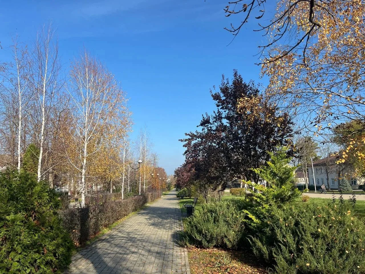 Доброе утро, дорогие земляки! ☀️