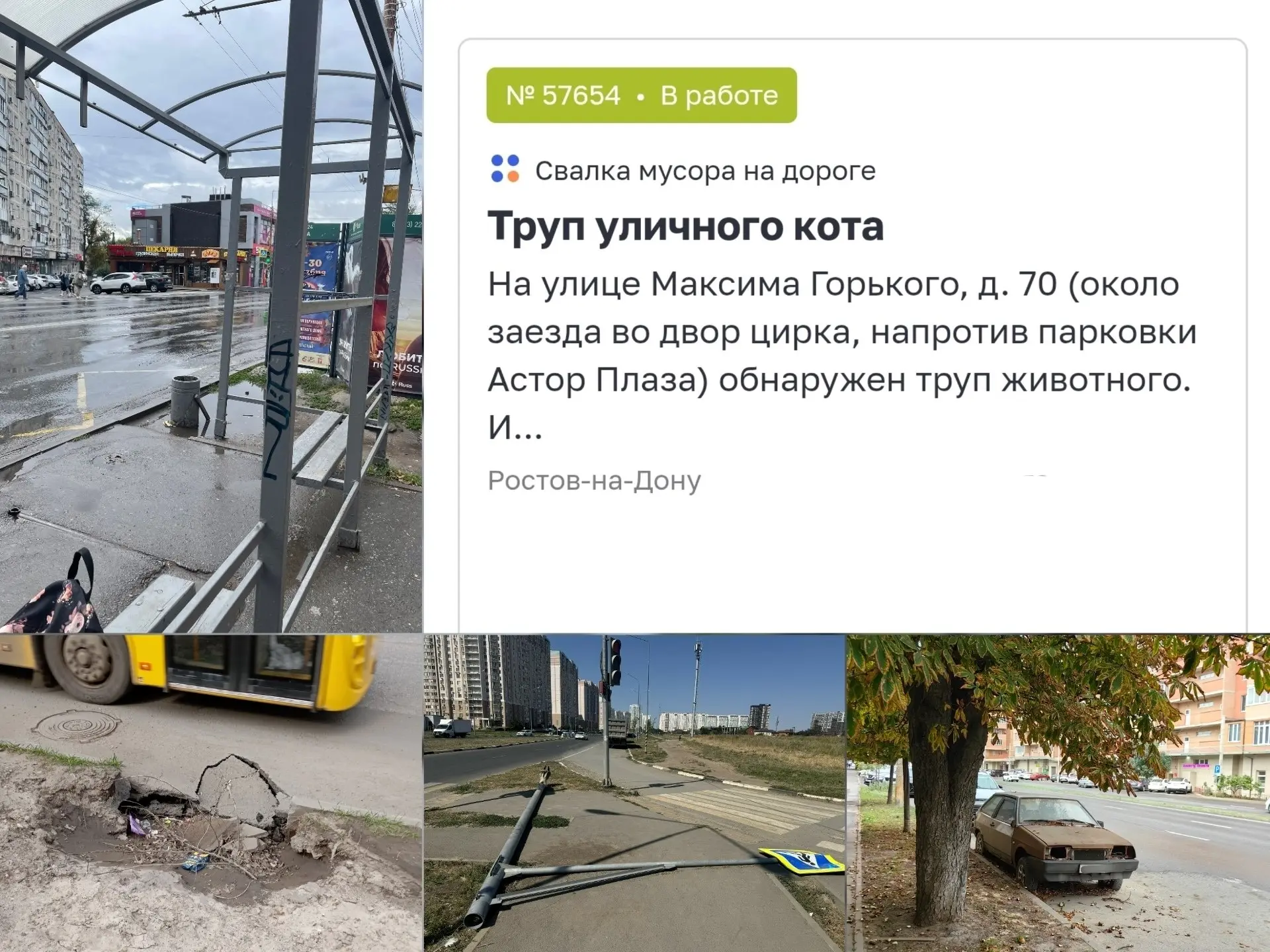 🌳 Ворошиловский лидирует по количеству проблем благоустройства среди районов Ростова