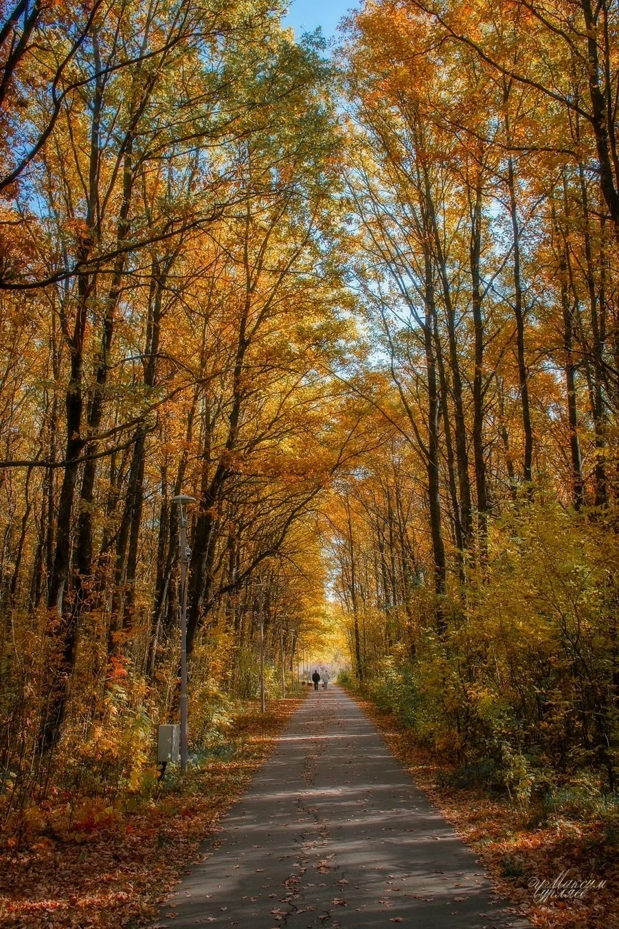 Парк 40-летия🍁
