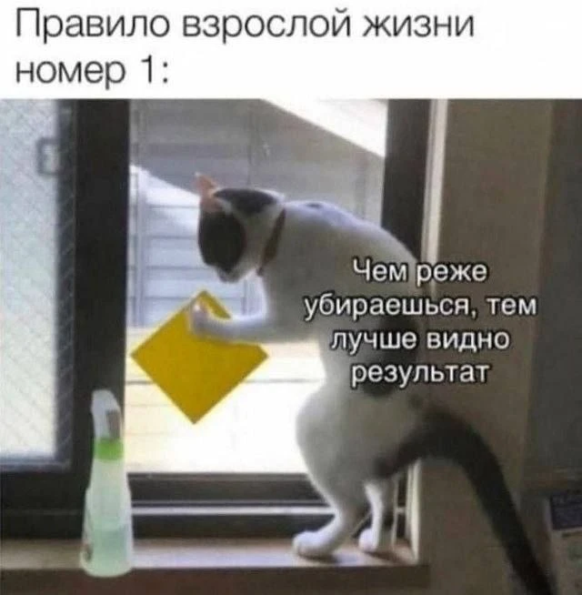 Факт.