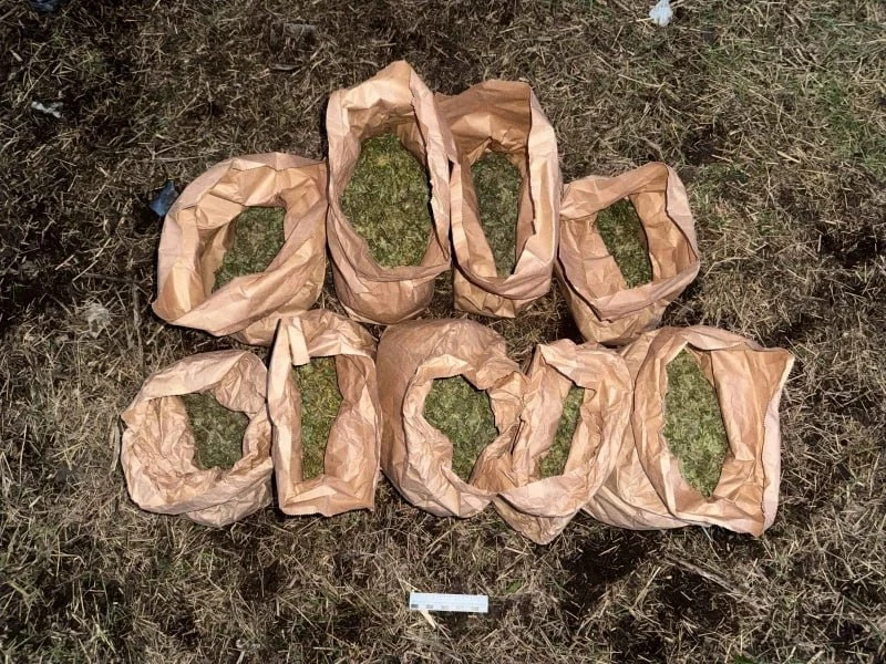 У жителя КБР нашли около 1,6 кг марихуаны