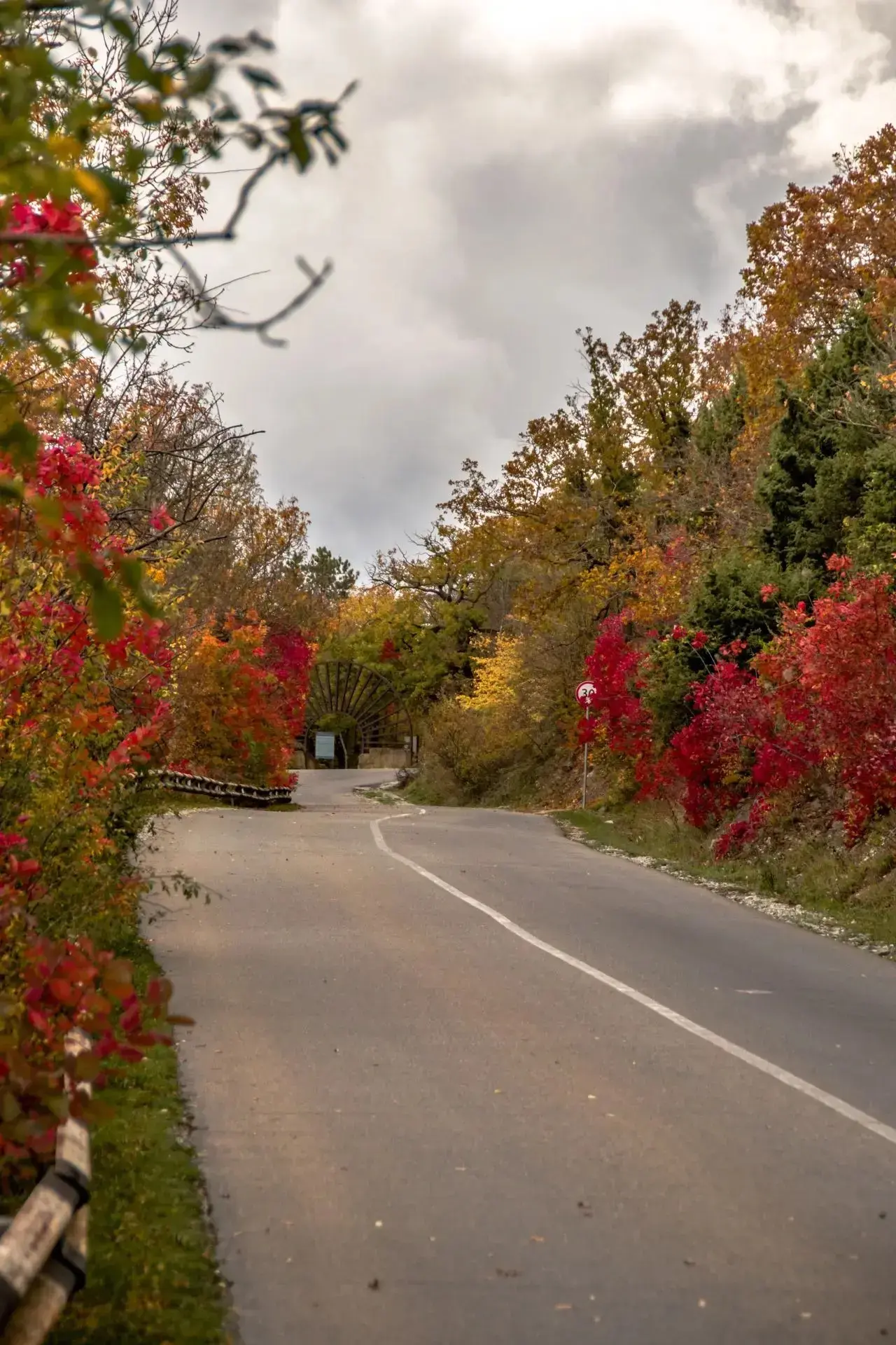 Осенние пейзажи Абрау‑Дюрсо.🍁
