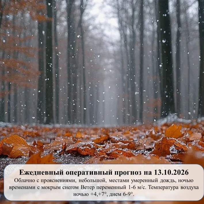 На основании ежедневного оперативного прогноза от ГКУ «ТЦМ»