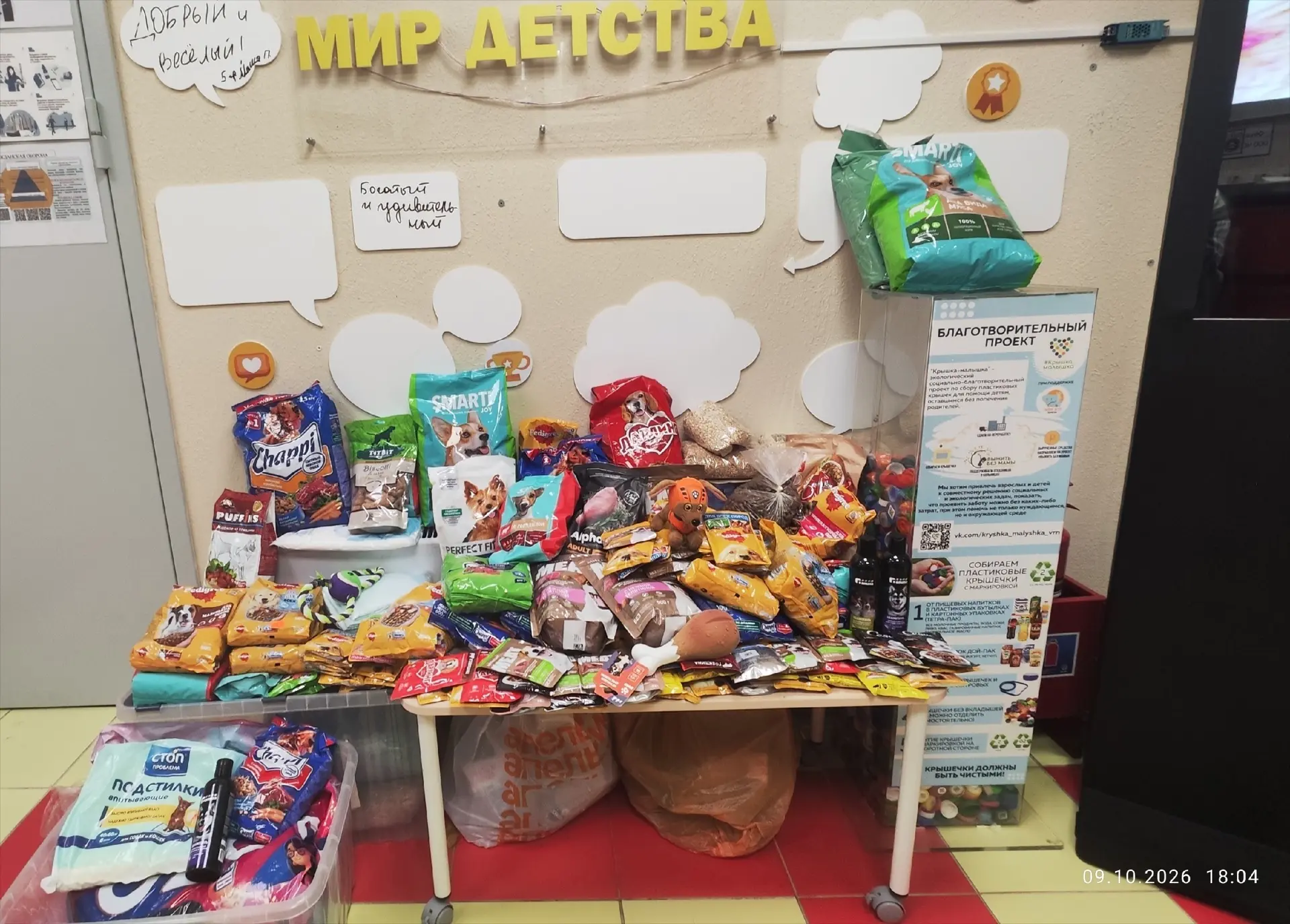 🐾 ВМЕСТЕ ДЛЯ «ДОРЫ» 🐾