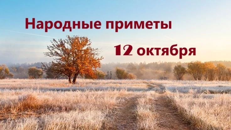 Феофан Милостивый. Вспоминают святого из южносирийской Газы, который принимал страннико...