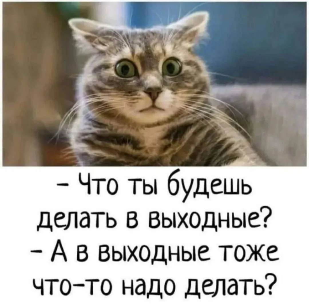 Действительно 😁