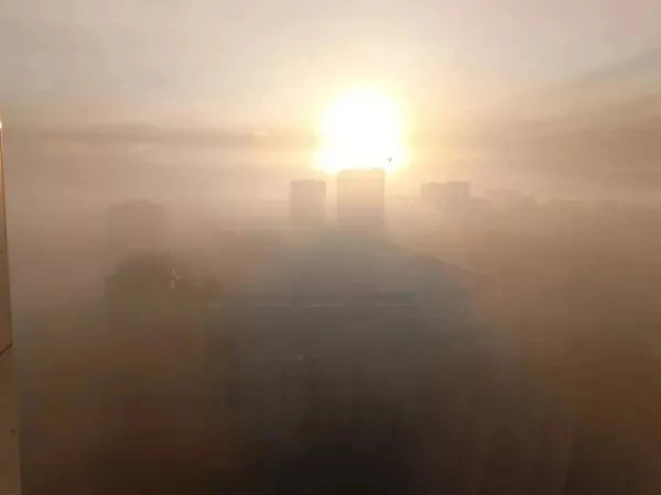 😶‍🌫️В Ростовской области ввели желтый уровень погодной опасности из-за тумана