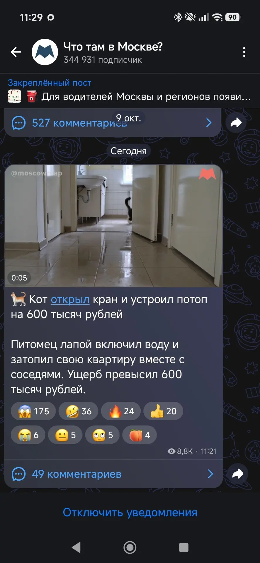🐈‍⬛Коты и домашняя техника🐈‍⬛