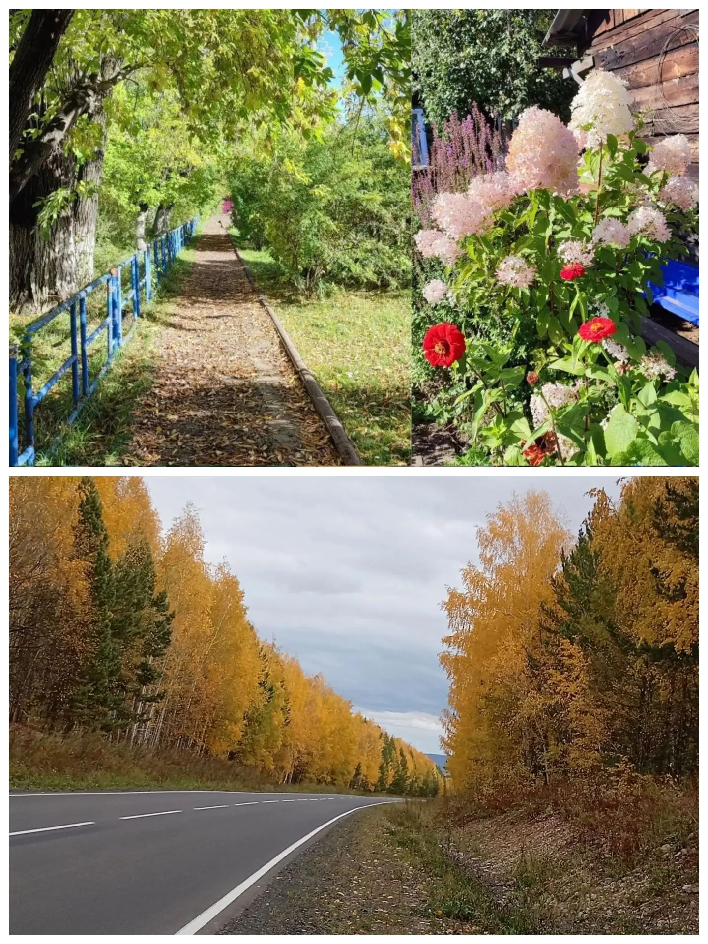 Фото