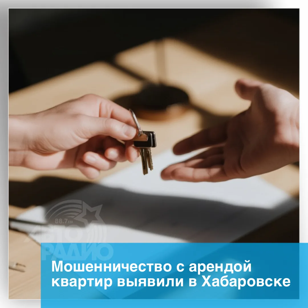 Несуществующие квартиры сдавали в аренду в Хабаровске. Злоумышленники разместили объявл...