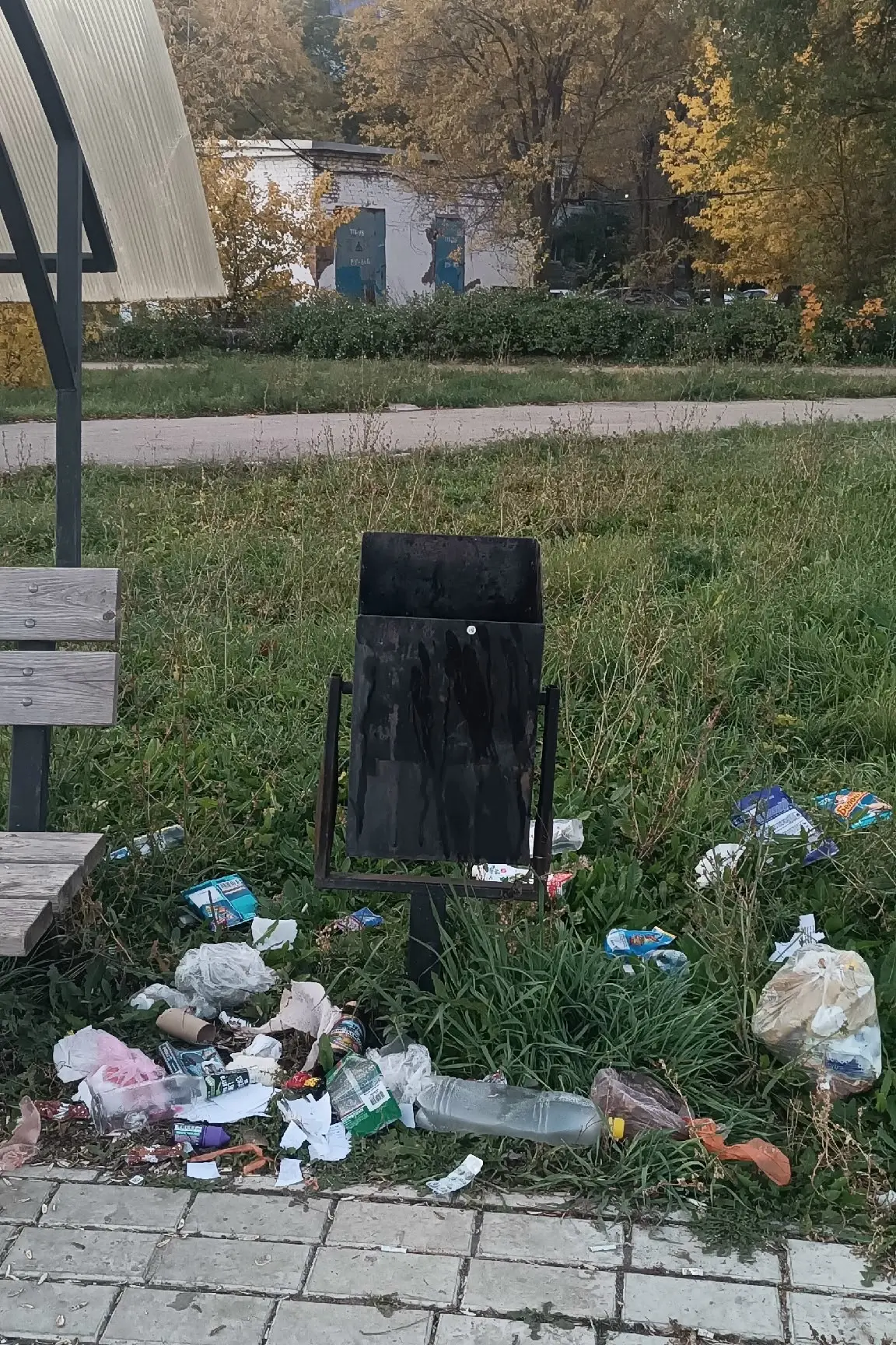 Вот такую прекрасную картину можно встретить в любом уголке нашего города. В данном слу...