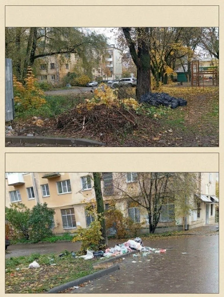 Фрязиново: контейнеры убрали, свалка осталась
