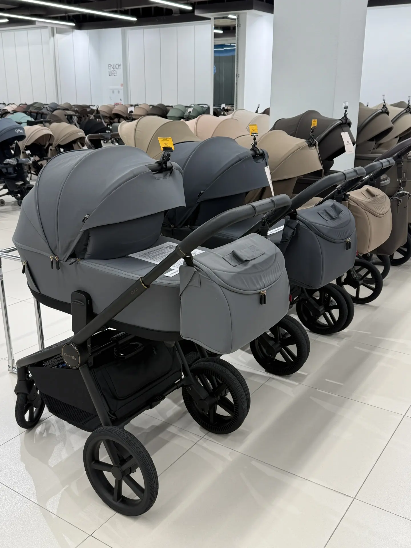 Carrello Epica 2в1 модель 8510 всего за 37500р