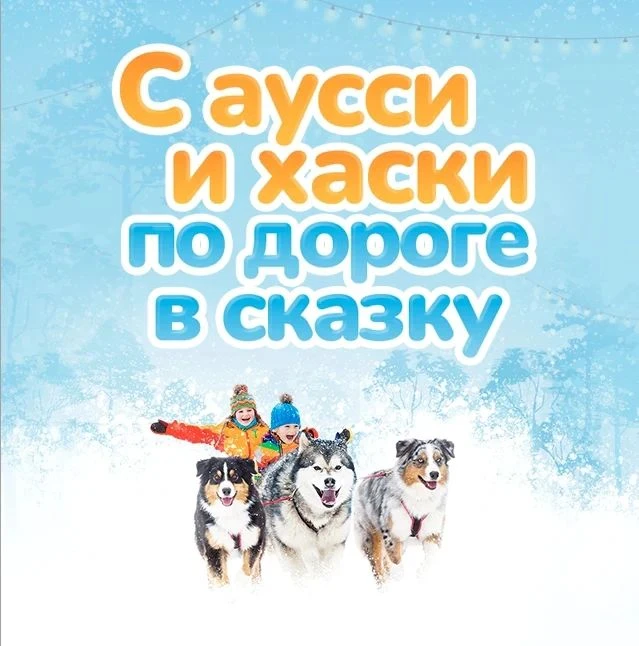 🐾 С аусси и хаски по дороге в сказку ! ❄️