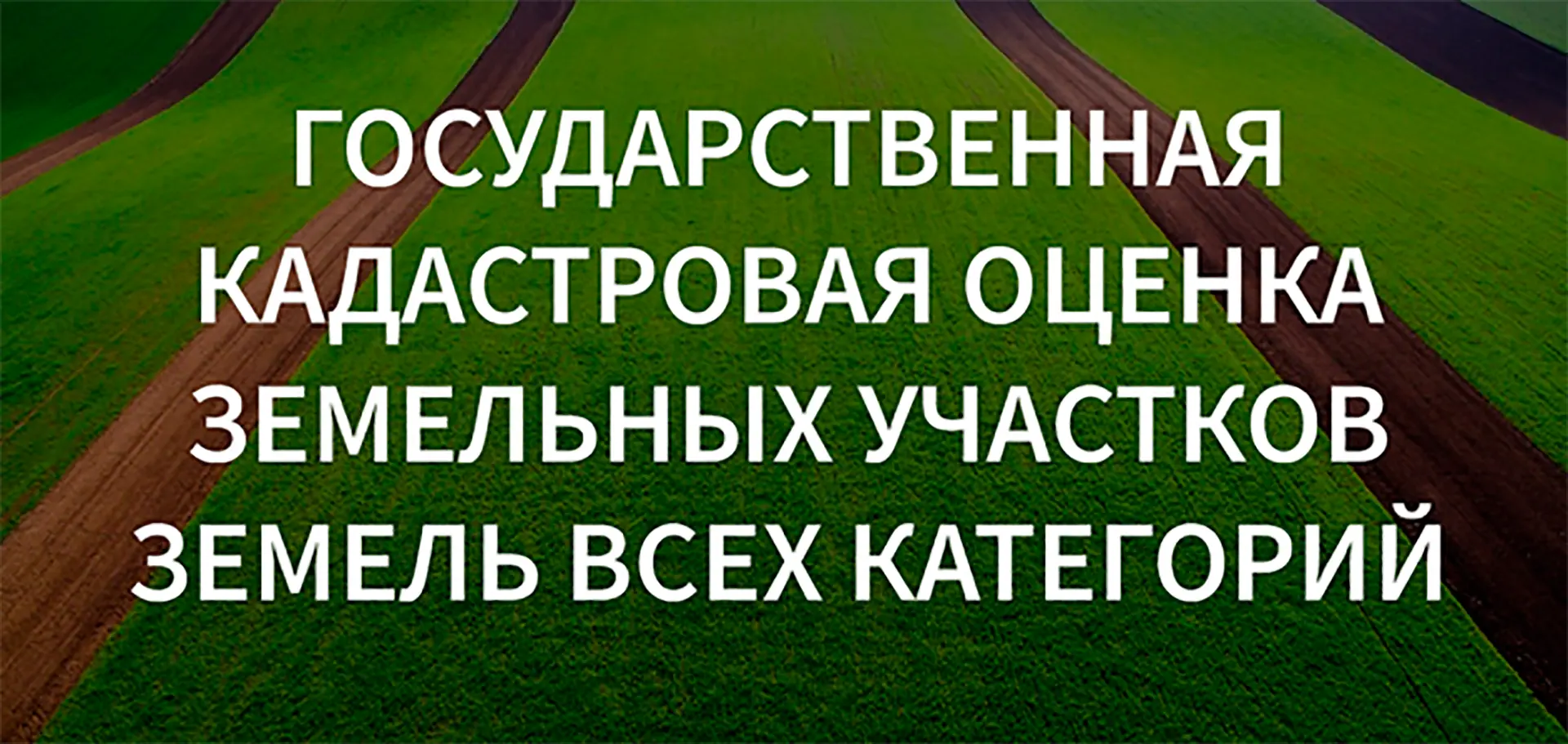 04.09.2026 в Фонде данных государственной кадастровой оценки на портале пространственны...