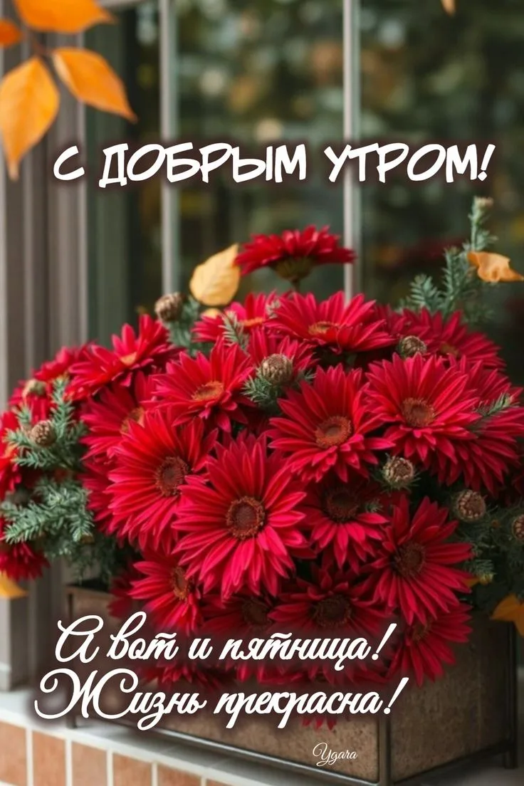 https://max.ru/se13912156_biz