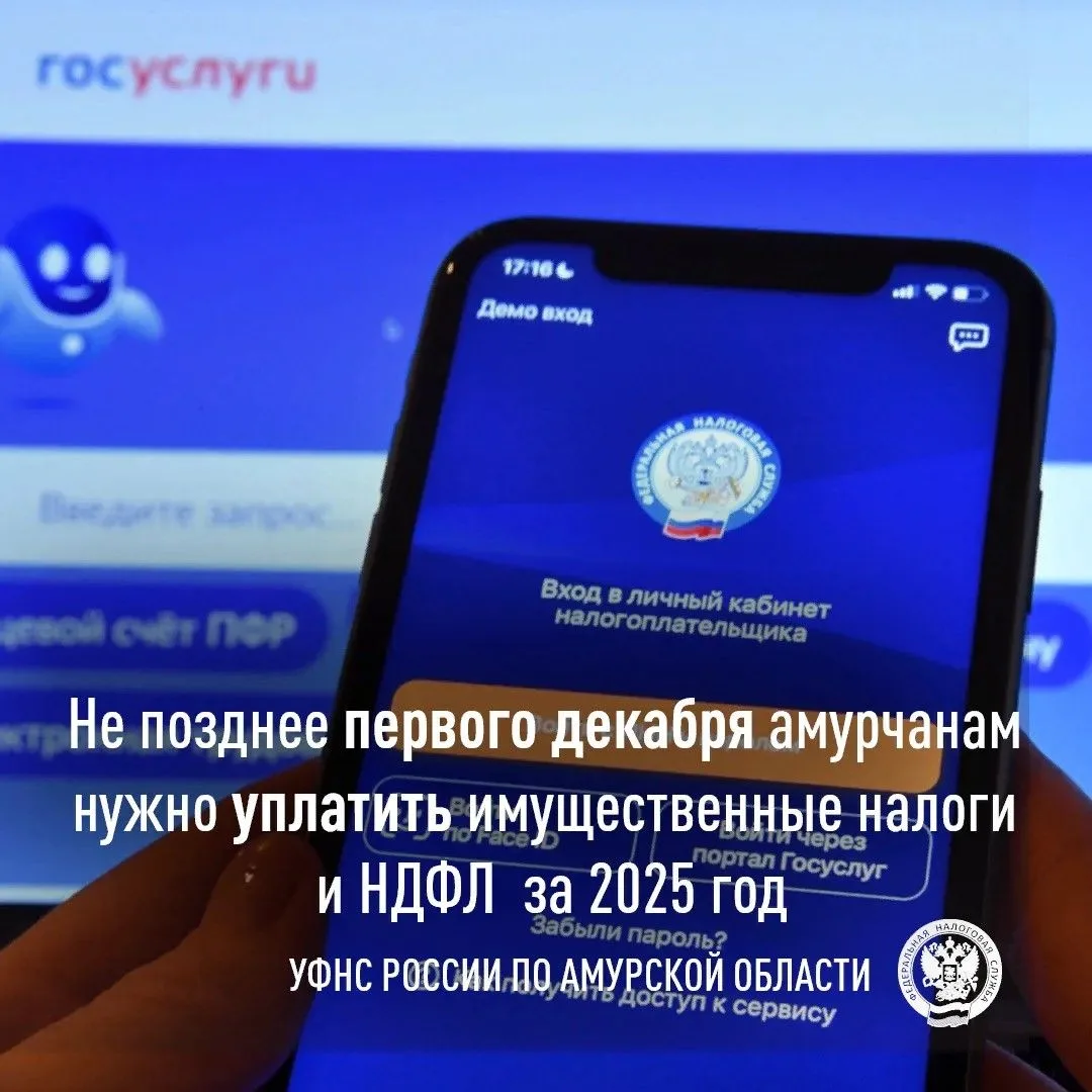Налоги за 2025 год: срок до 1 декабря и что важно знать о новом НДФЛ