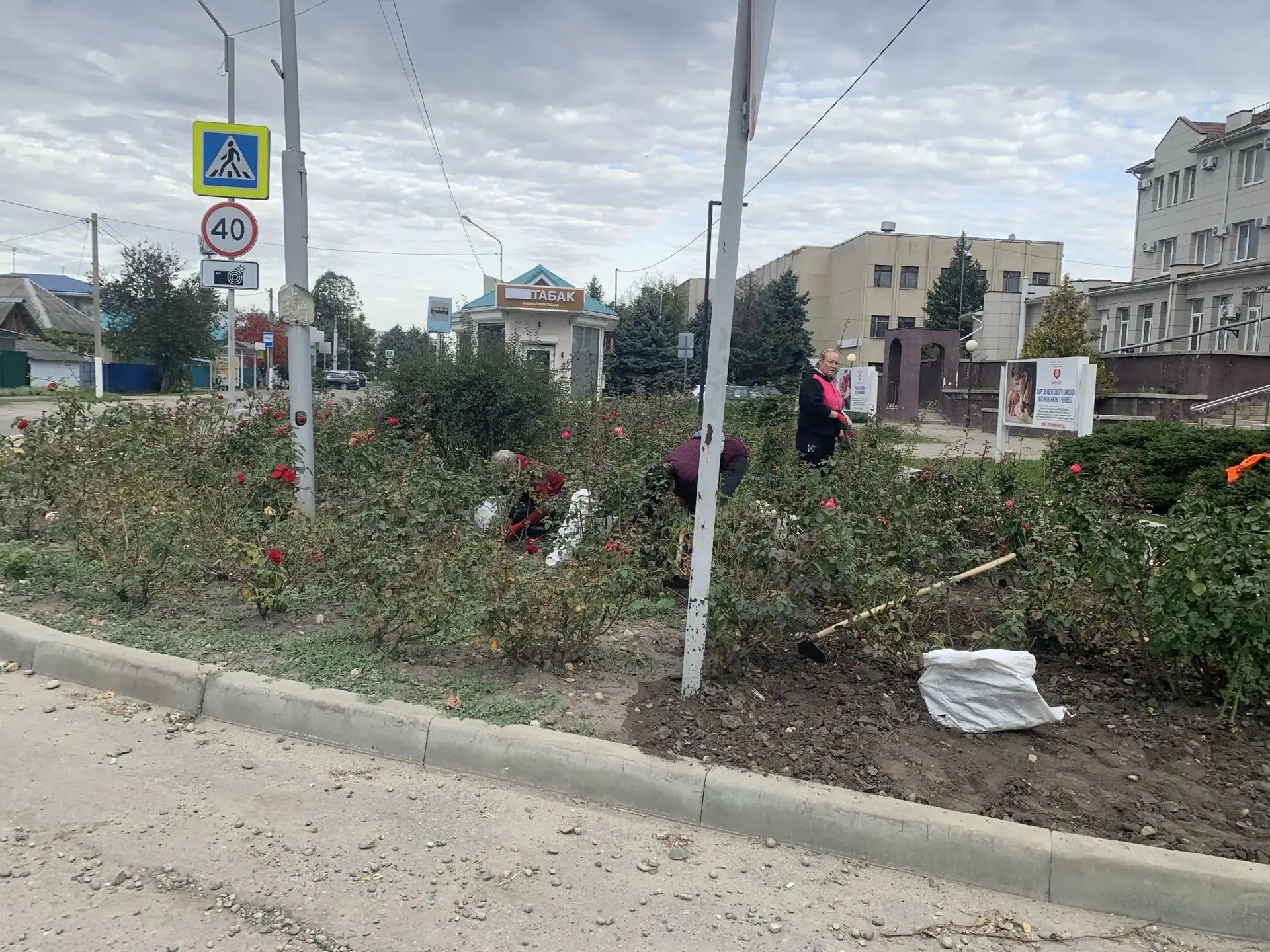 Прополка клумб по улице Горького пгт Мостовского