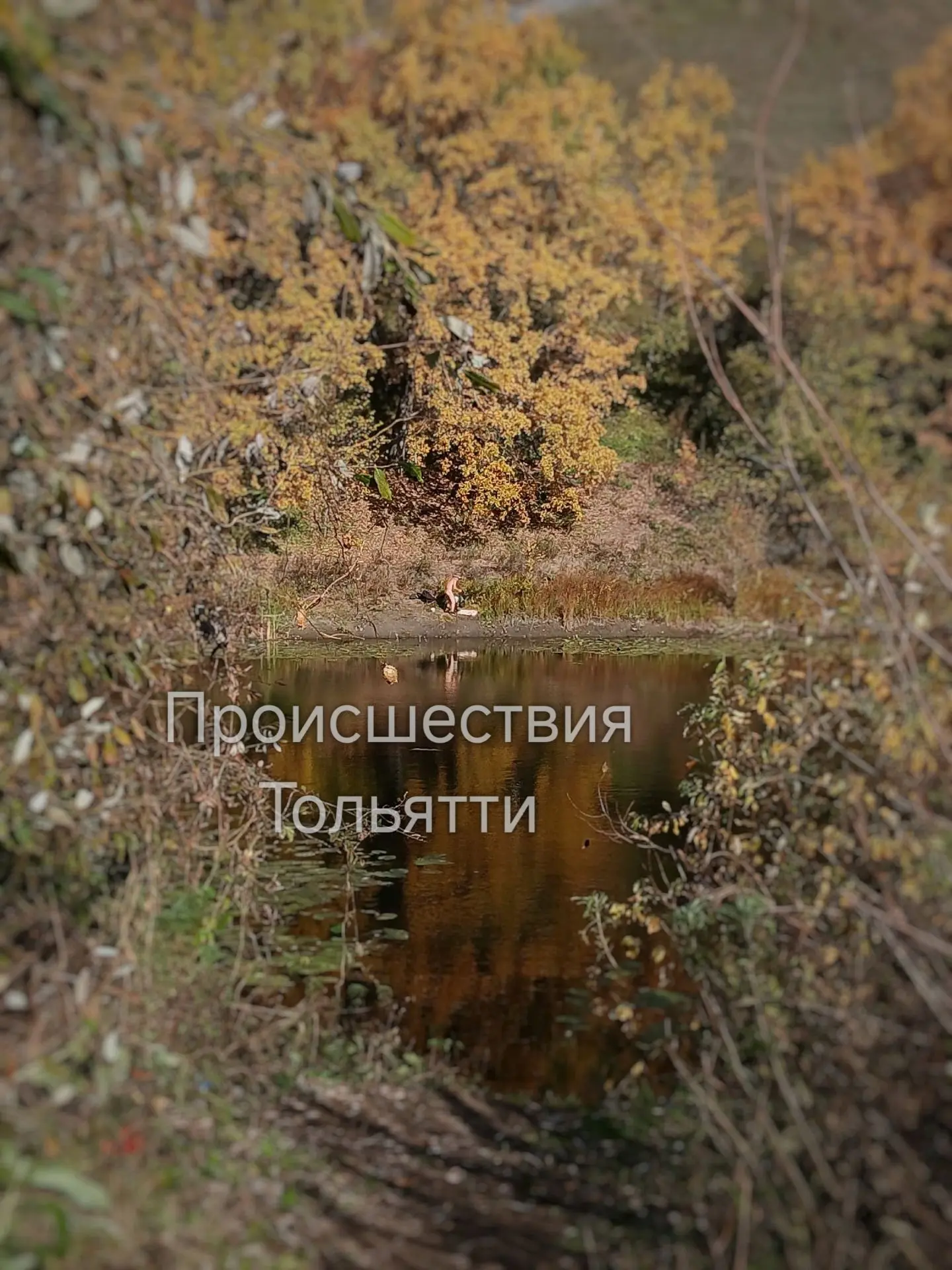 Думали приехали полюбоваться природой на Мастрюки,🍁 а тут голый чел.загорает, рыбачит....