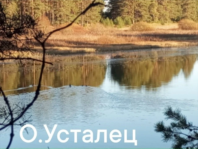 🌤 Каким будет сегодняшний день?