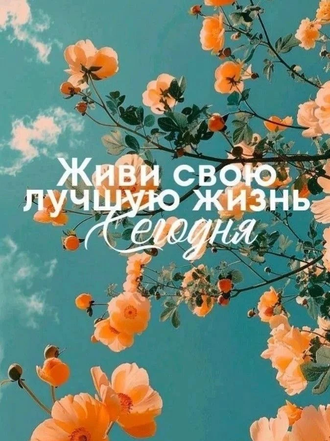 😍🔆😍🔆😍
