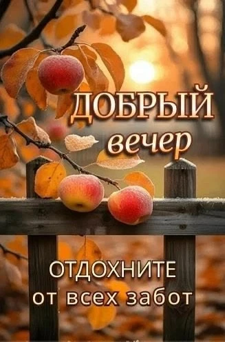 🥰 Оставляйте реакции, если понравилась открытка и делитесь с близкими ❤️