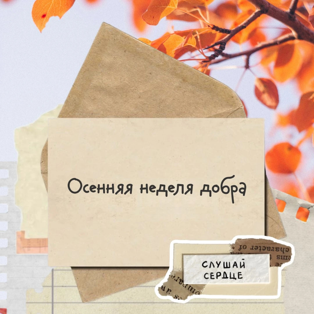 🍂 В Тульской области стартовала «Осенняя неделя добра»