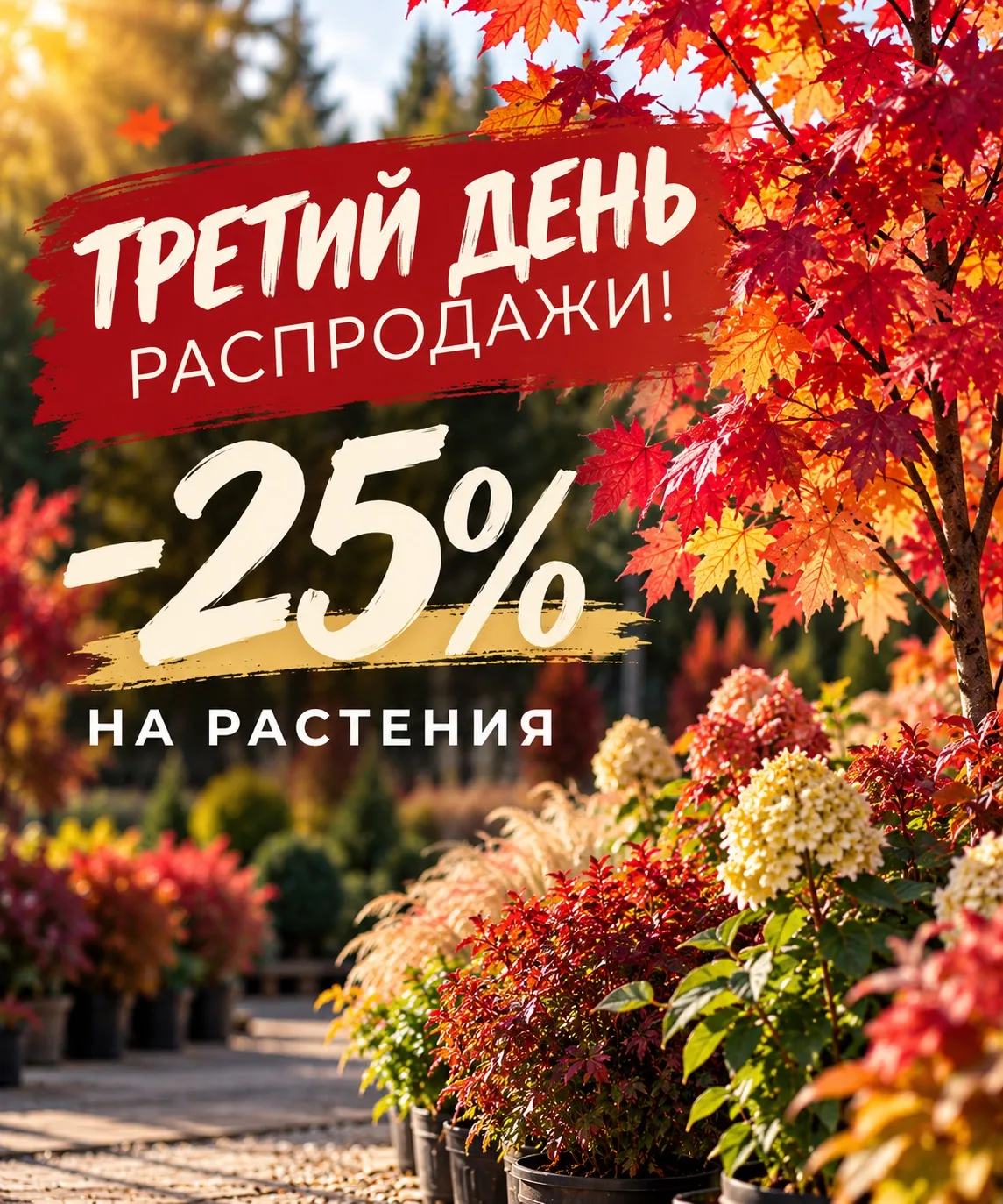 🍁 ТРЕТИЙ ДЕНЬ БОЛЬШОЙ ОСЕННЕЙ РАСПРОДАЖИ GARDENS!