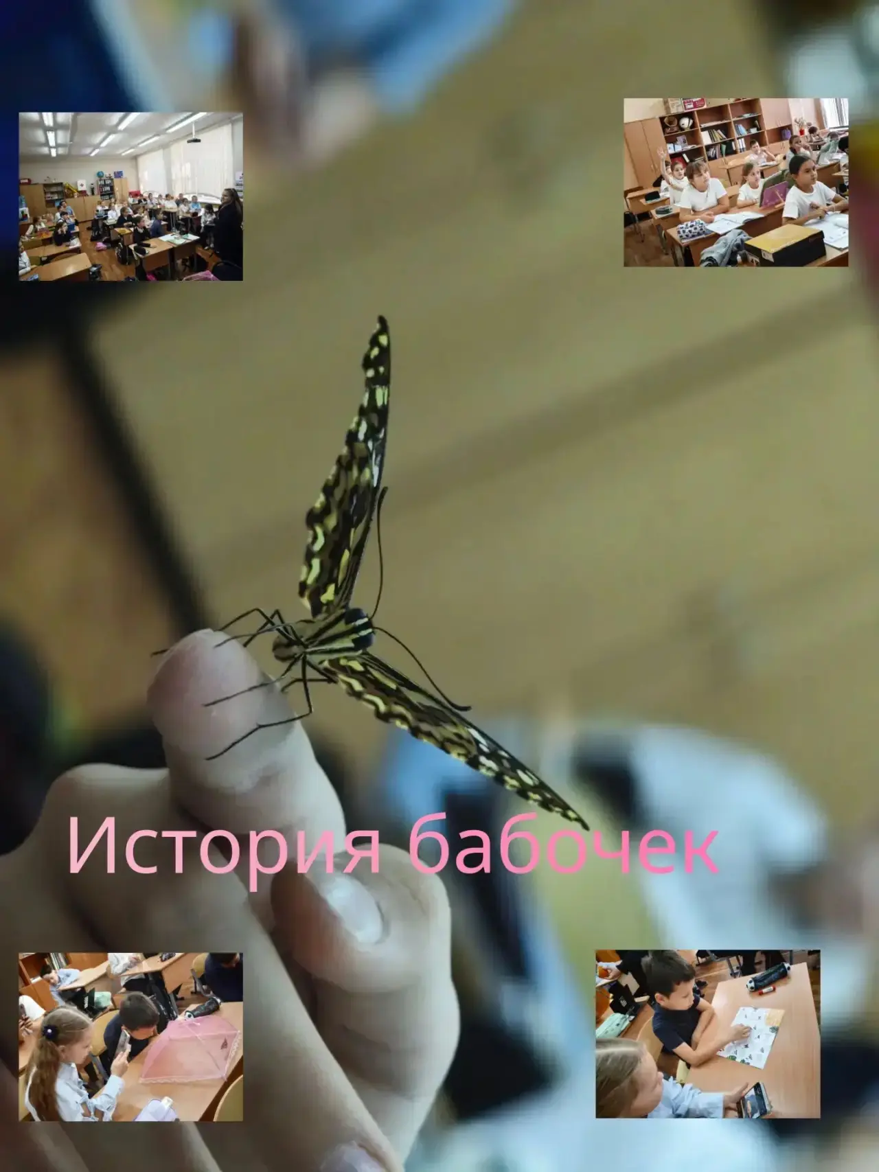 🦋 Настоящее волшебство на уроках.