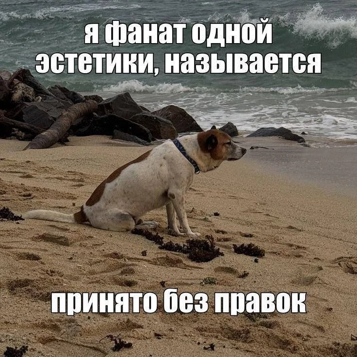 Ставь лайк! ❤️