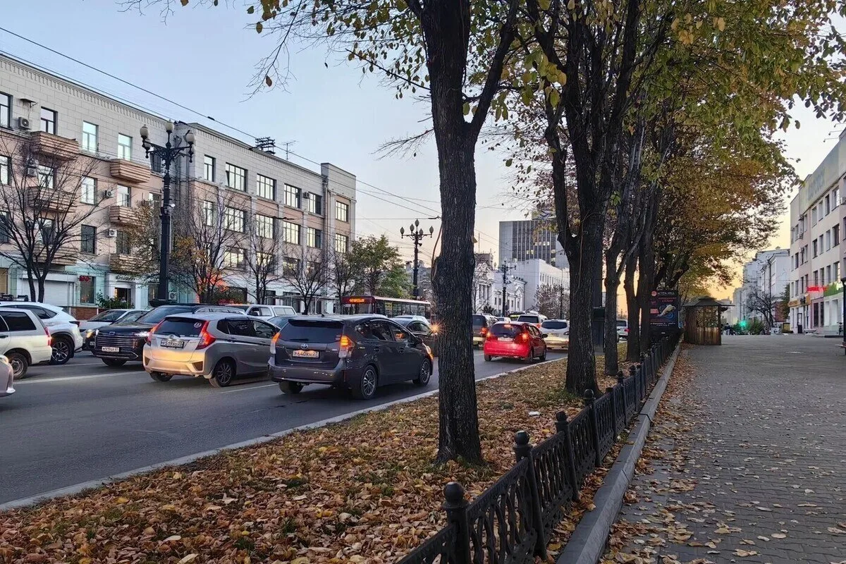 Хабаровск ждут три дня магнитных бурь. С 12 по 14 октября геомагнитный фон составит 3 б...