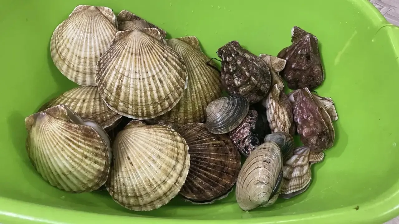 За Пригородным 🦪