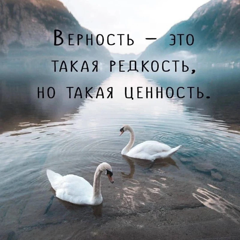 Верность - она в голове...