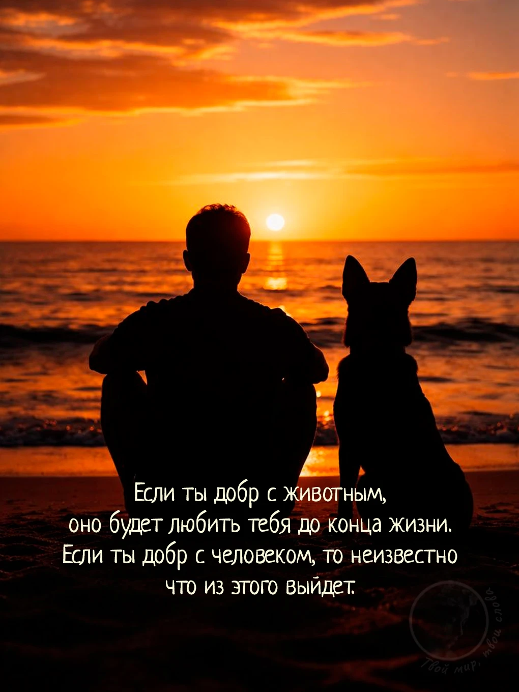 Твой мир, твои слова