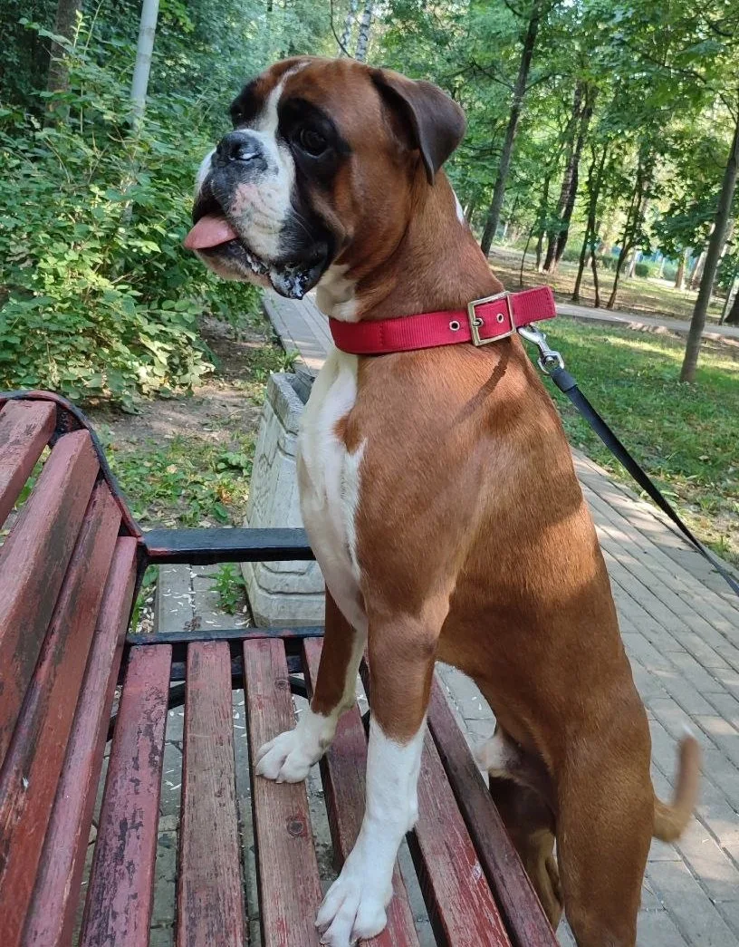 #Москва