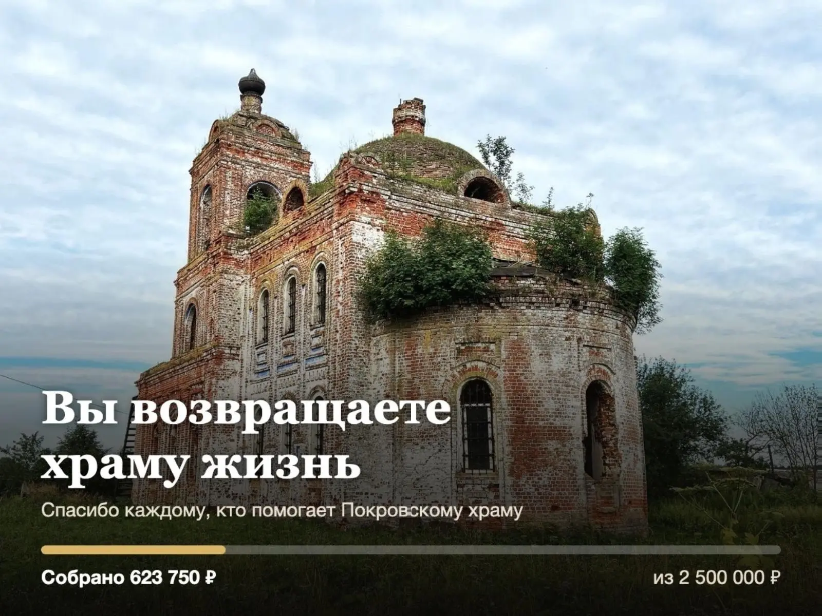Спасибо вам. Правда — спасибо 🙏