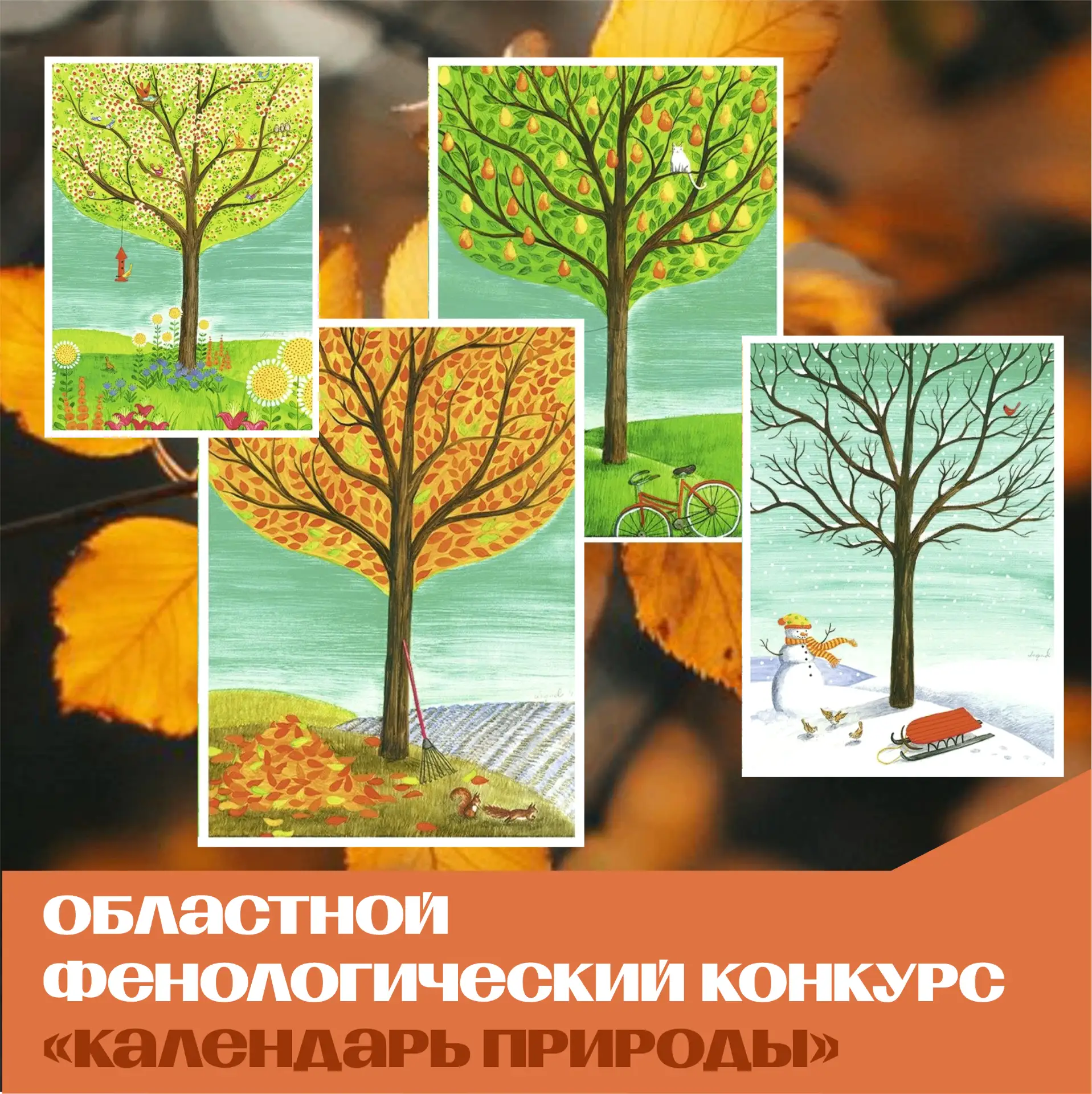 🍂 Стартовал областной фенологический конкурс «Календарь природы»!