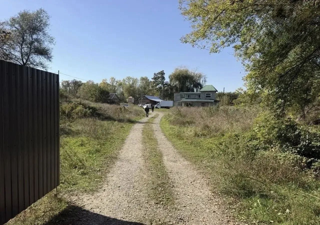 🌀‼️Четырёх собак, напавших на 12-летнего мальчика в Курганинске, отправили на карантин
