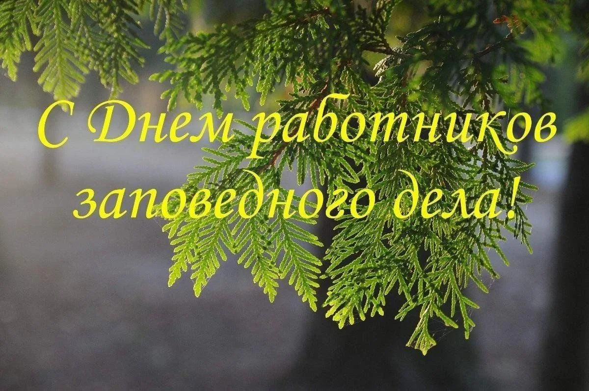 🌿 Сегодня - День работников заповедного дела в России!