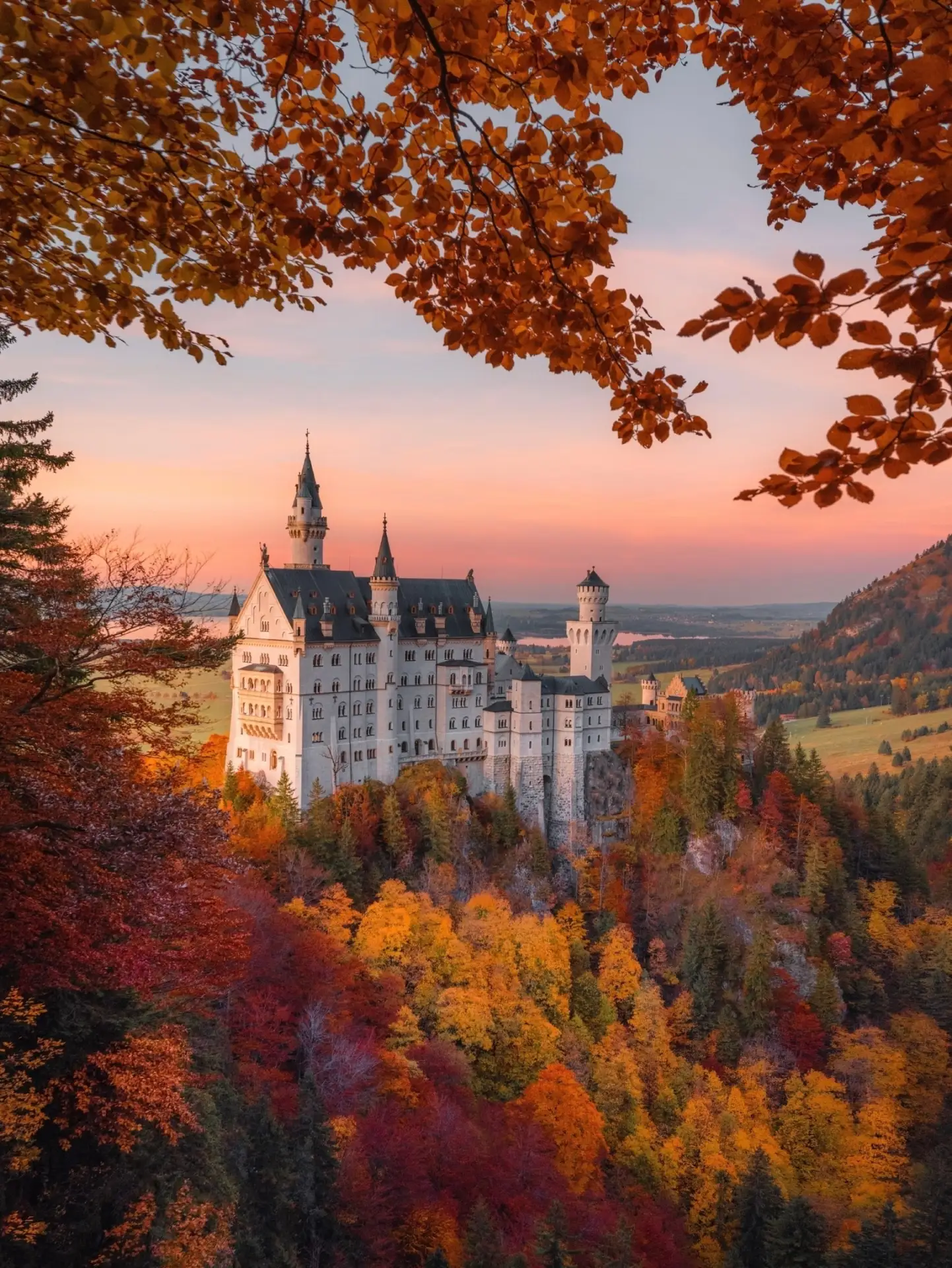 Осенние краски в Альпах просто невероятны 🏔️🍂