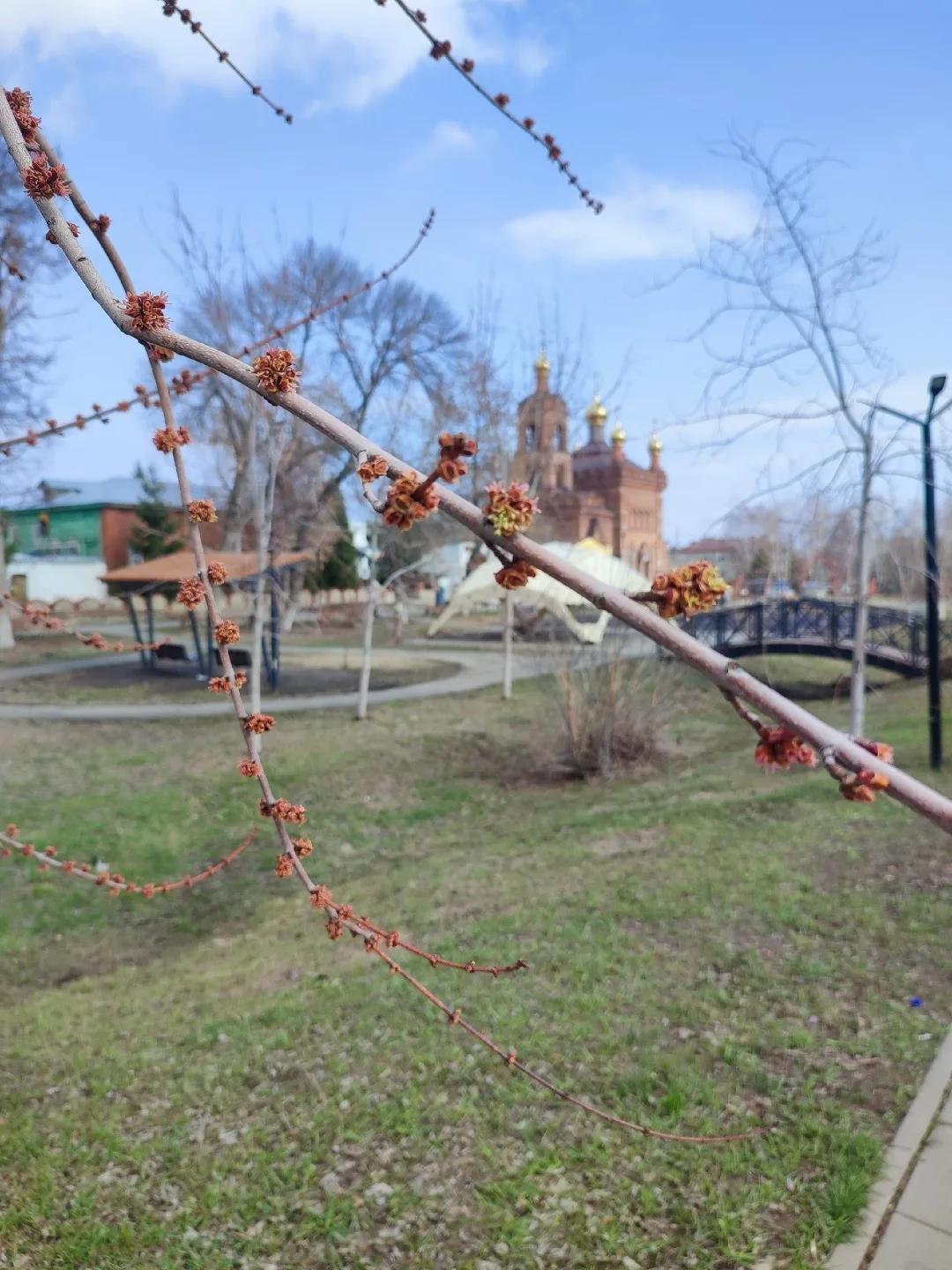 Присылайте Ваши фото в "Предложить пост"