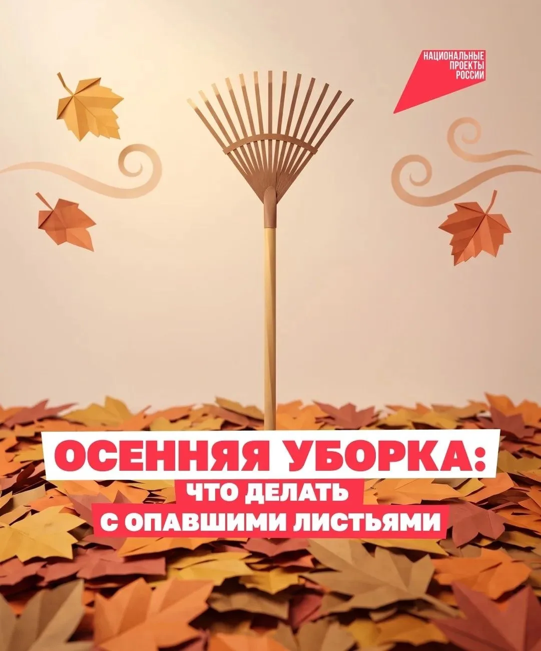 🍂 Листья на участке: убрать нельзя оставить