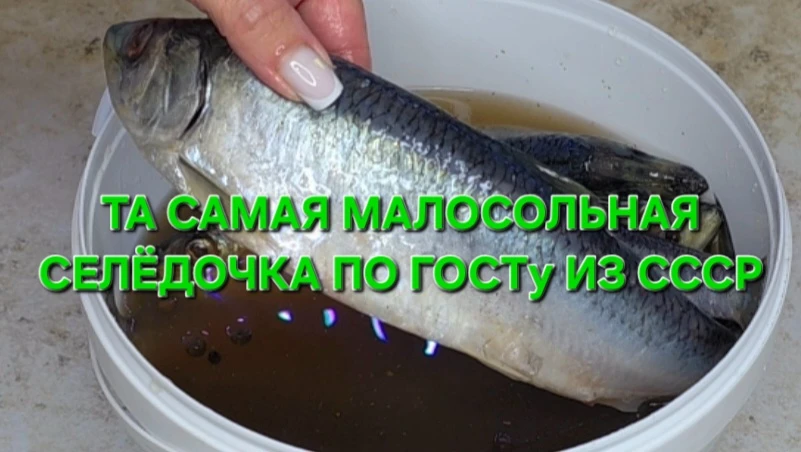 https://vk.ru/wall-216435406_24485