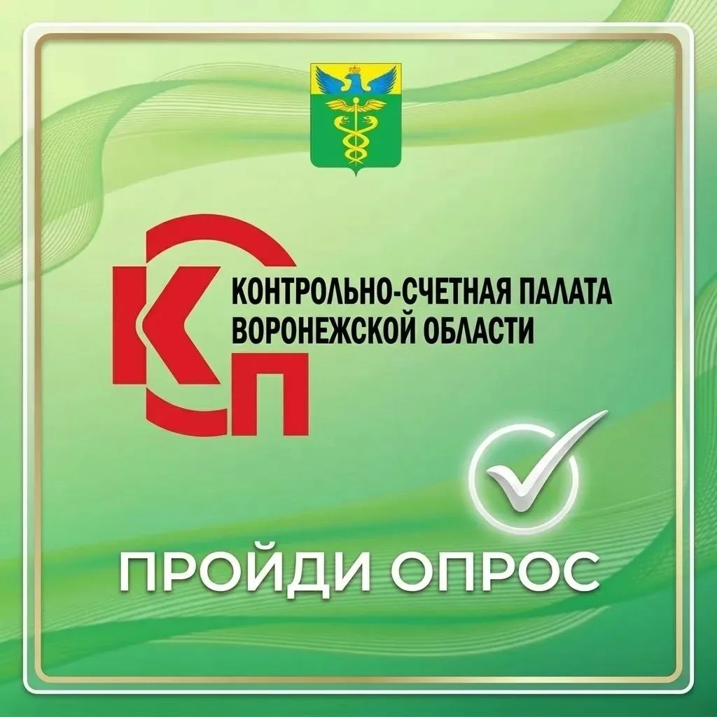 ✅ В связи с проведением Контрольно-счетной палатой Воронежской области проверки сферы к...