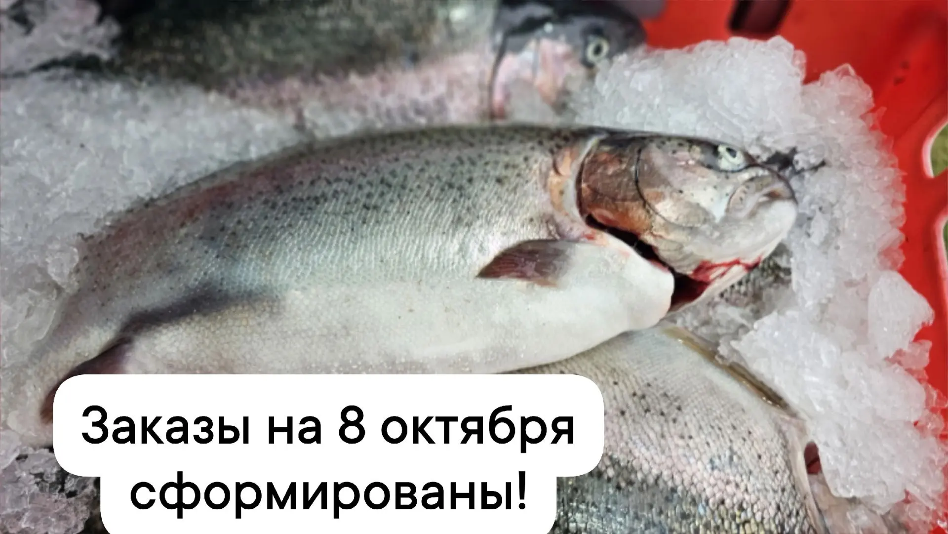 Дорогие друзья!🤗