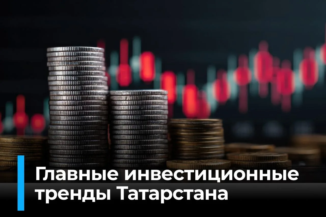 Инвестиции в Татарстане: чем заняты местные инвесторы