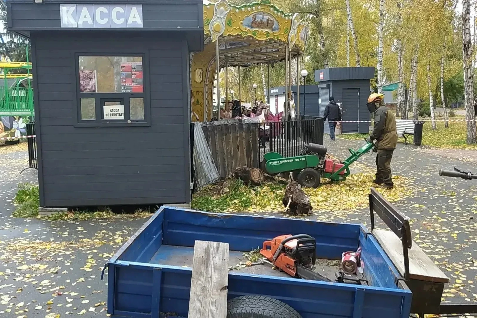 Аварийные и поваленные деревья убирают в парках Новосибирска