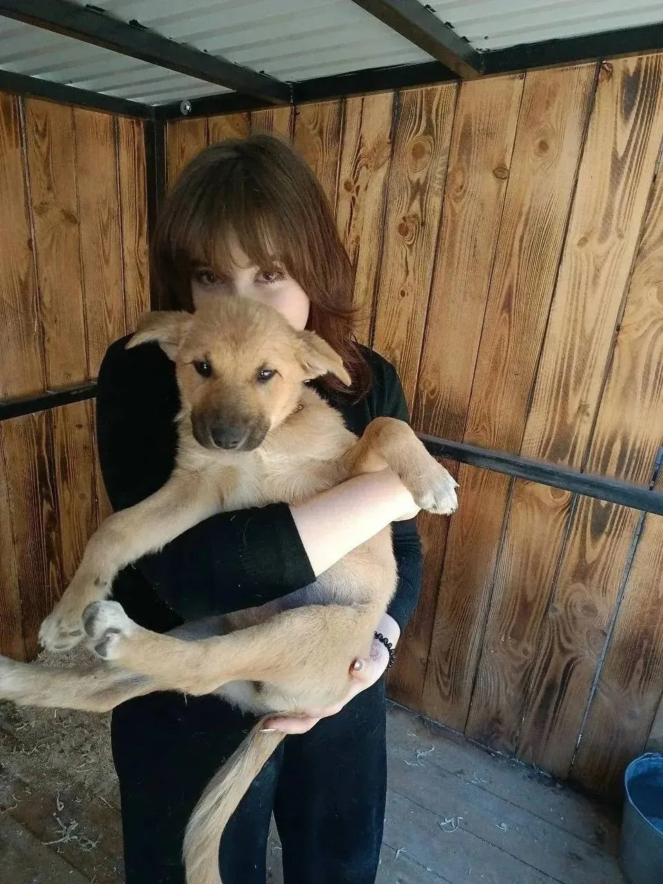 Доброта в действии! 🐾